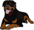 243 0 0 0 10000 10000 120