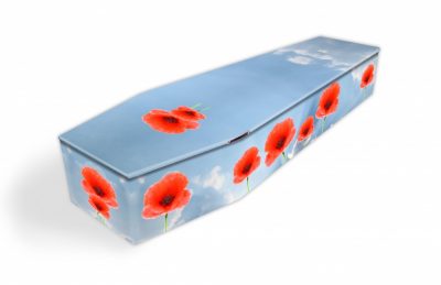 Poppies On Sky