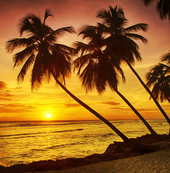 Barbados sunset