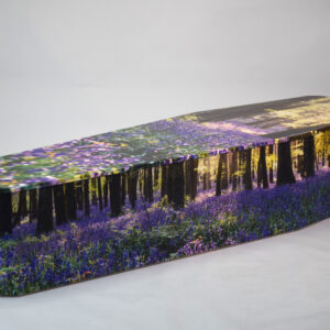 Bluebell floral range