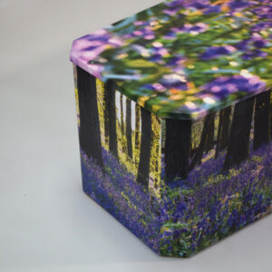 Bluebell floral range detail