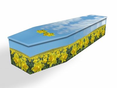 Field Of Daffodils Cardboard