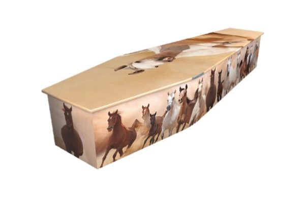 Horses