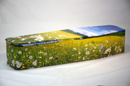 Meadow floral range