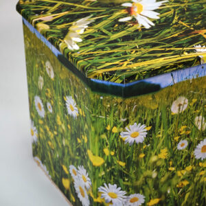 Meadow floral range detail