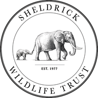 Sheldrick