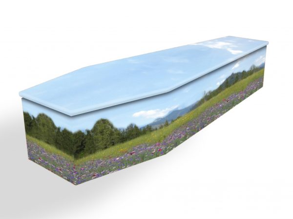 Summer Meadow Cardboard