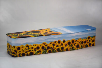 Sunflower floral range