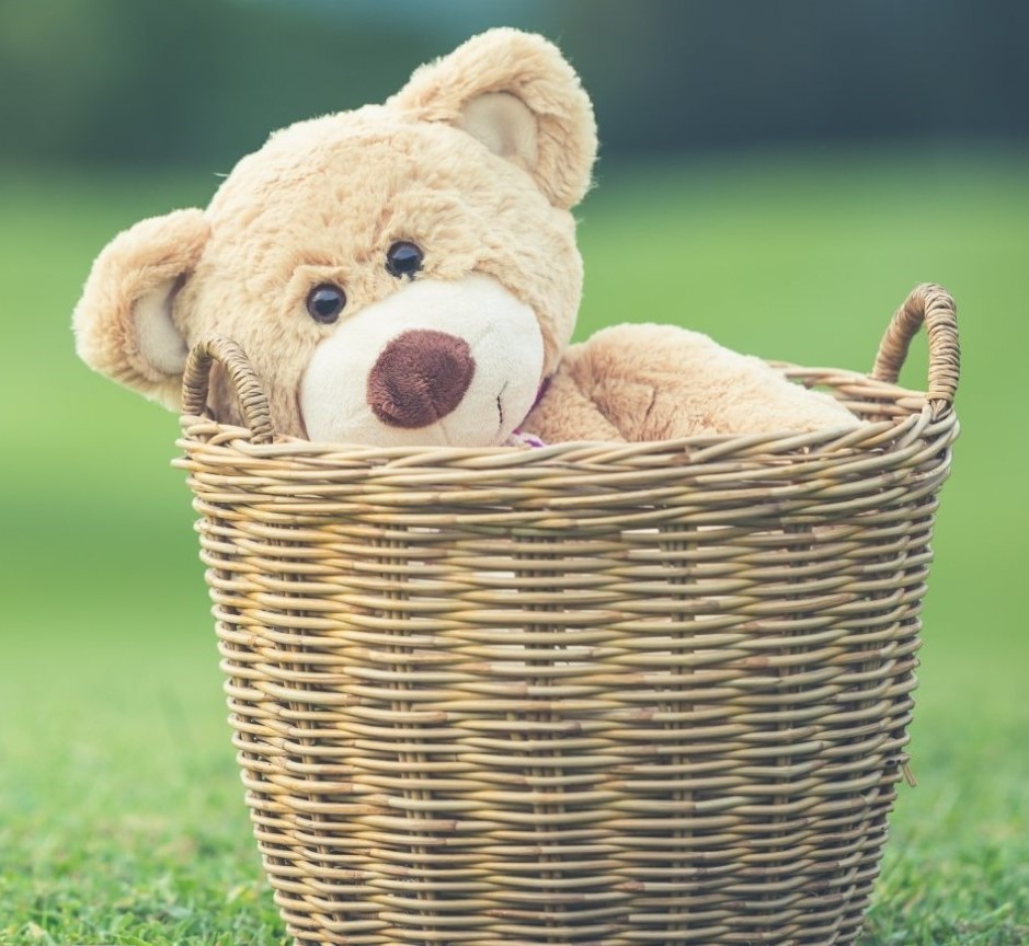Ted2 copy