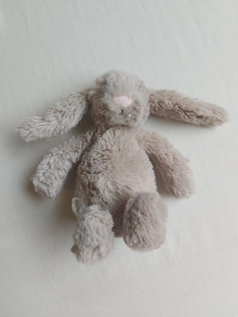 Teddy