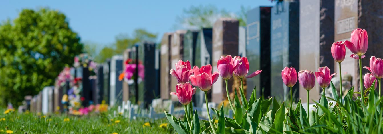 Headstones with tulips