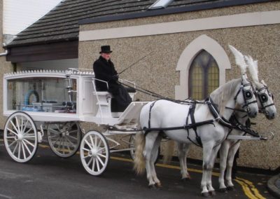 Hillier Horse Drawn Carriage