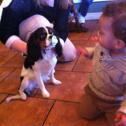 Inbound7928857224492814893