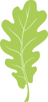 The Oak Plan Oak leaf