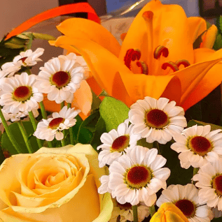 Orange