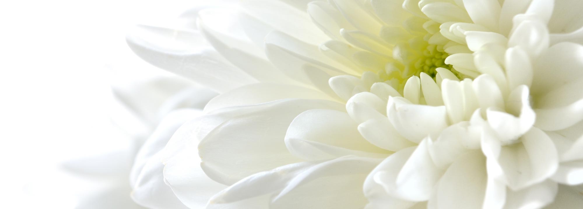 Planning a funeral banner