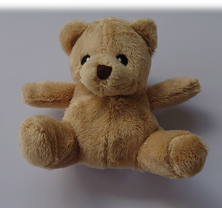 Teddy