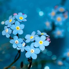 Thumbnail 1ac6c2ef 496a 4fee 80ba ad38bd1d3e1c