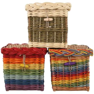Wickmoor, rainbow and rainbow twist