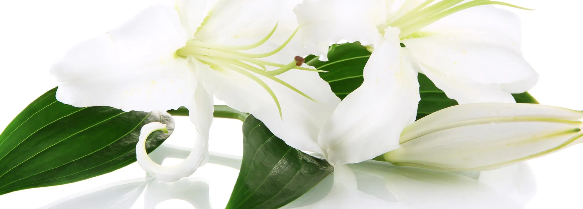 Arranging a funeral banner