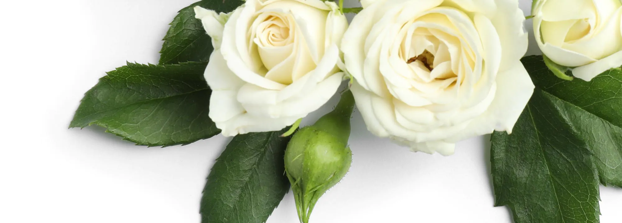 Prepaid funeral plans banner