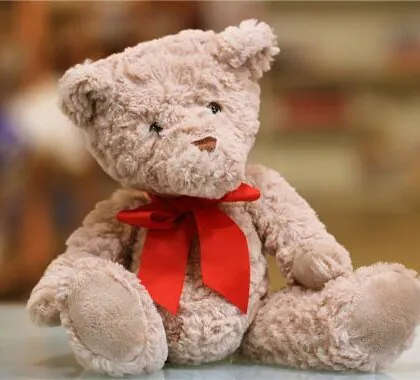 Teddy bear